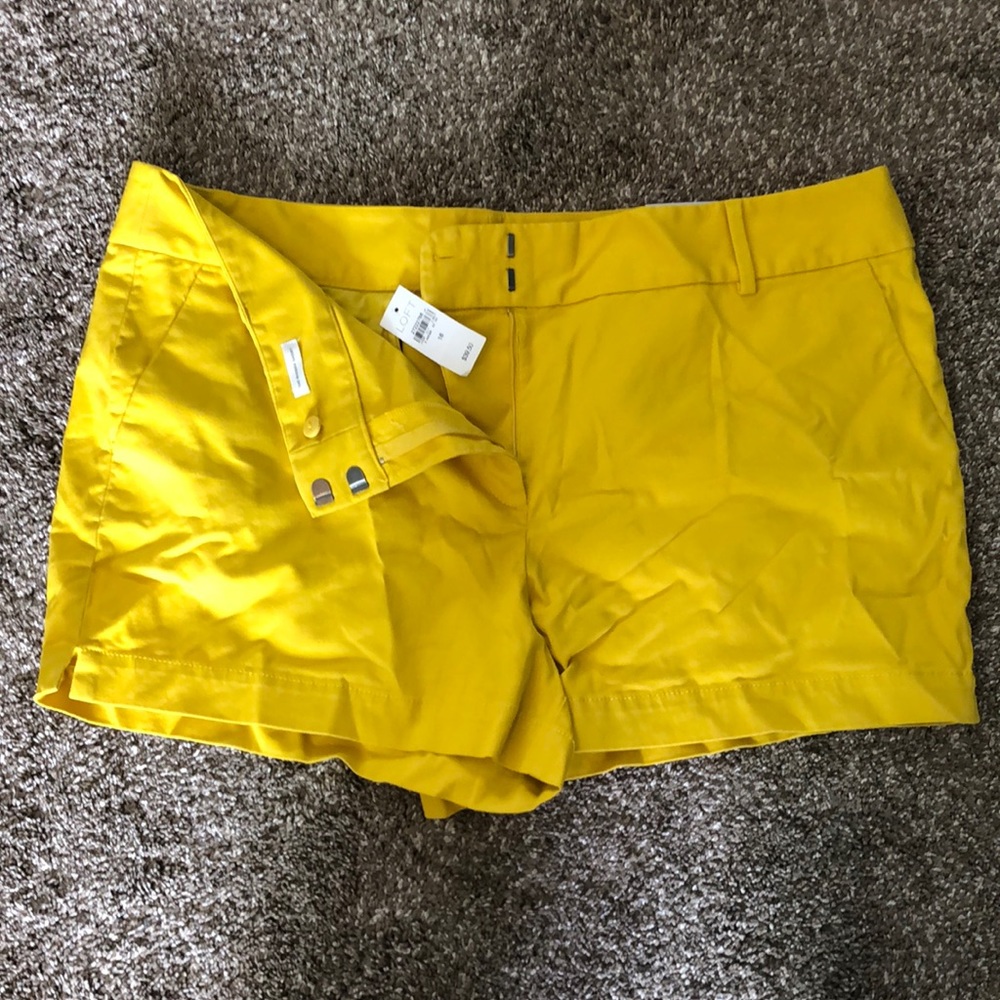 Loft shorts